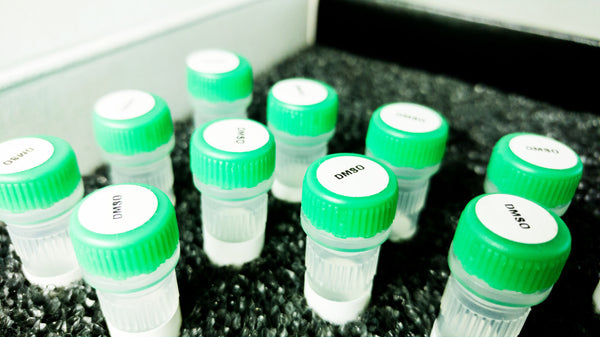 What Is DMSO Used For?
