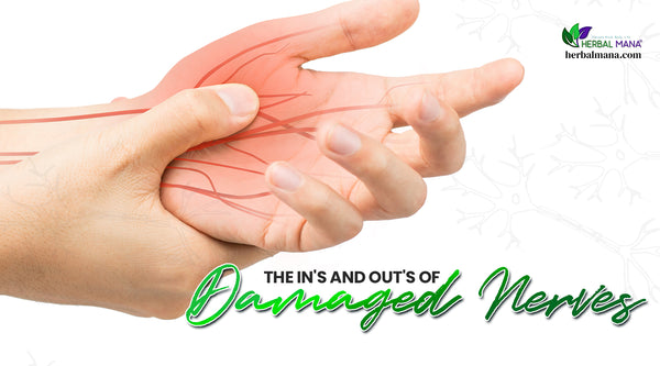 How Long Do Damaged Nerves Take To Heal What Natural Therapies Are Available For Healing Damaged Nerves nerve pain Rubbing Hands due to nerve pain nerves visible on skin