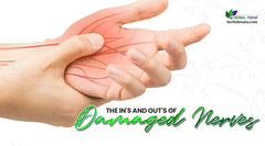 How Long Do Damaged Nerves Take to Heal?