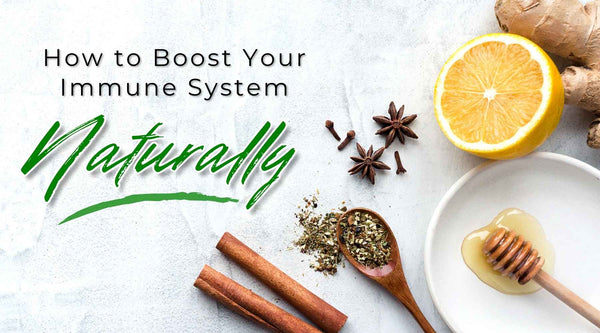 How To Boost Immune System Naturally close up of immune boosting foods on white background