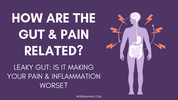 Is Leaky Gut Making Your Pain & Inflammation Worse?