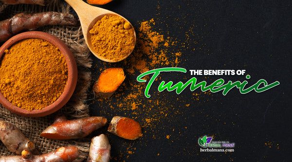 Turmeric Health Benefits & Turmeric Essential Oil Benefits turmeric powder and root on black background with green & white
