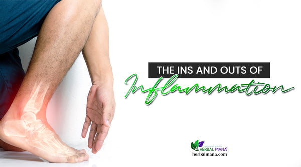 what is inflammation the causes of inflammation natural remedies for inflammation man person bending down reaching for ankle that is swollen inflamed bone graphic with red pain orb blue shorts white background