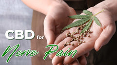 What You Need to Know About CBD for Nerve Pain