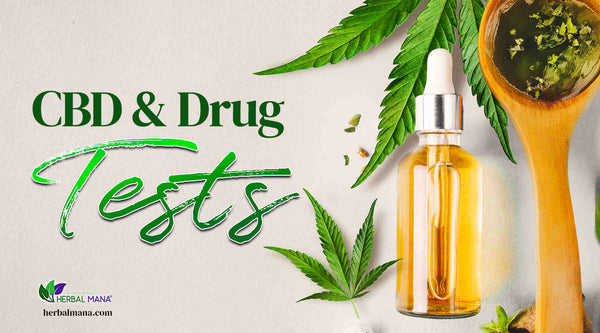 CBD and drug tests CBD oil in glass bottle next to wooden spoon with CBD and leaf close up
