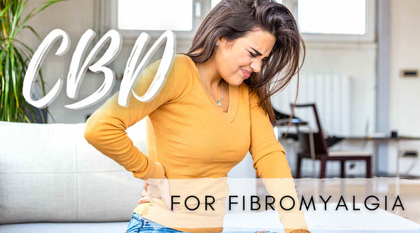 cbd oil for fibromyalgia pain woman holding her lower back in pain from fibro fibromyalgia wearing mustard yellow shirt sitting on couch