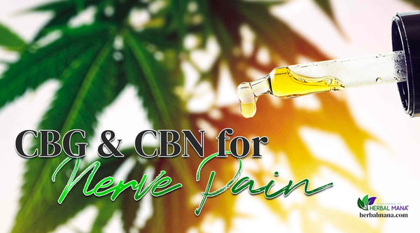 cbg cbn for nerve pain what you need to know marijuana plant blurred behind CBD oil in dropper