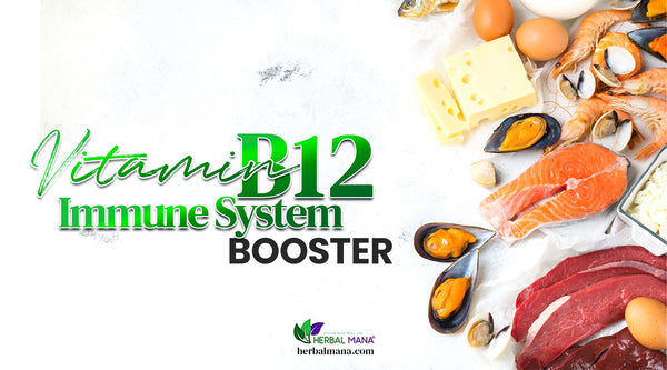 does vitamin b12 boost immune system function foods with vitamin b12 fish cheese shrimp eggs on white counter green and black text