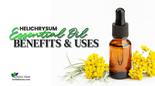 helichrysum essential oil benefits and uses yellow flower bouquets sitting next to an amber glass essential oil bottle with dropper white background green and black text