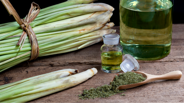 Lemongrass Essential Oil + DMSO Uses and Benefits