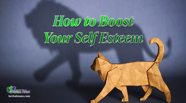 how to boost your self esteem cat folded from paper casting the shadow of a lion with green text overlay