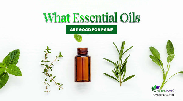 what essential oils are good for pain amber glass essential oil bottle on white background with herbs on both sides