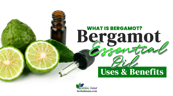 what is bergamot bergamot essential oil benefits uses bergamot fruit and fruit cut in half essential oil amber glass jar with dropper lid green and black text overlay white background