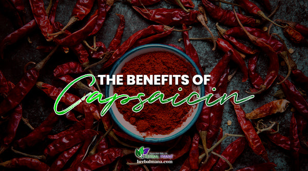 what is capsaicin the benefits of capsaicin the foods with capsaicin dried red chili peppers surrounding a blue and white bowl full of chili powder white and green text