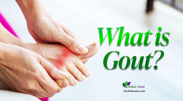 what is gout causes symptoms natural remedies person with gout in toes rubbing foot