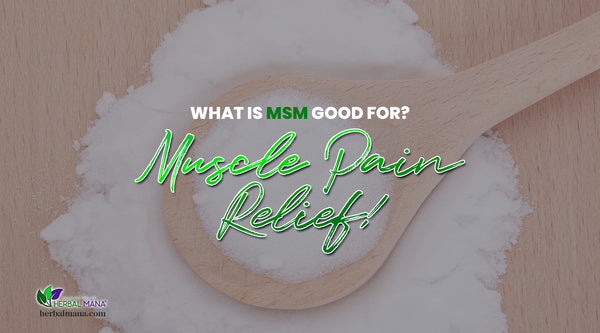 what is msm good for muscle pain relief white powder msm in a wooden spoon resting in a pile of msm on a wooden table green and white text overlay