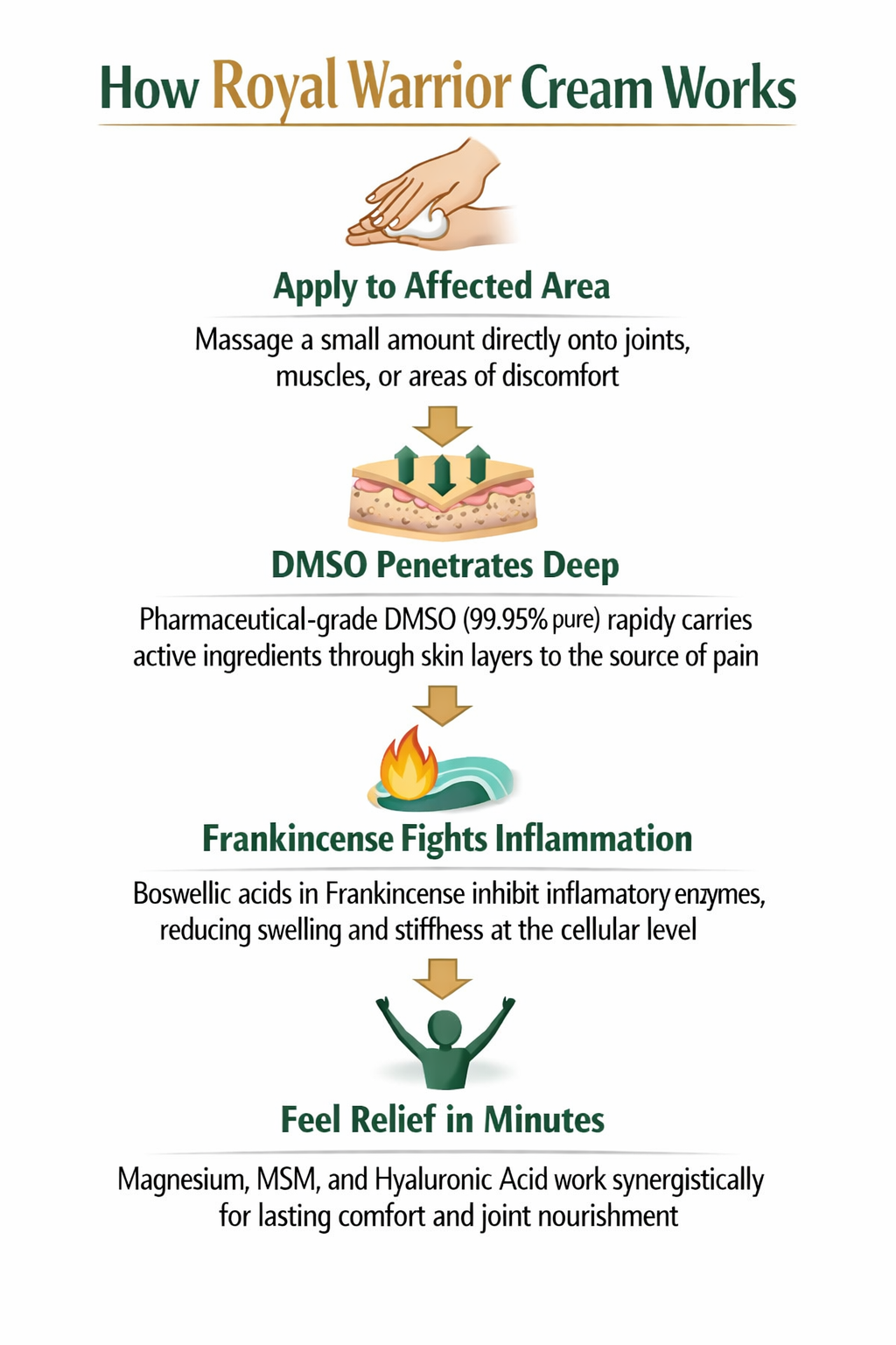 How Royal Warrior Cream Works - 4-step infographic